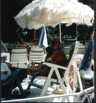 Fotowettbewerb Segelyacht und Motoryacht Segelschule Frank Lochte