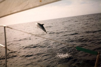 Fotowettbewerb Segelyacht und Motoryacht Segelschule Frank Lochte